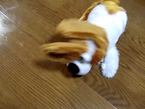 笑い転げる犬