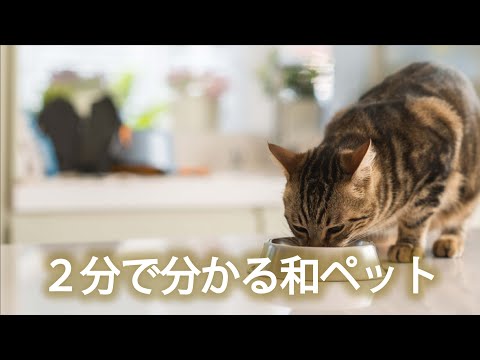 ペットシッター和ペット紹介動画（ペットシッター・散歩代行・ペット訪問介護など）